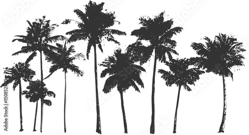 palm tree vector, Vector hand drawn palms illustration, hippie boho palm tree surfer style, palm tree