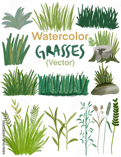 Watercolor Vector Grasses with Stone, Log, and Leaves