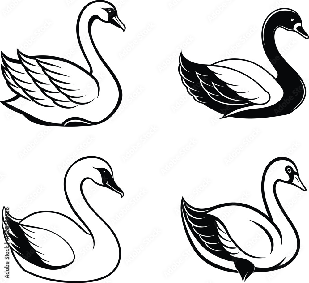 Fototapeta premium set of black swans silhouette