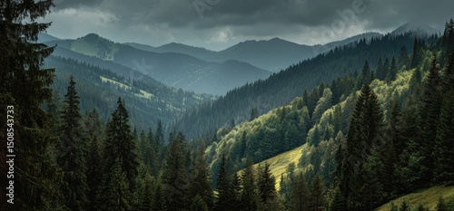 Misty Mountain Forest Landscape Under Cloudy Sky
