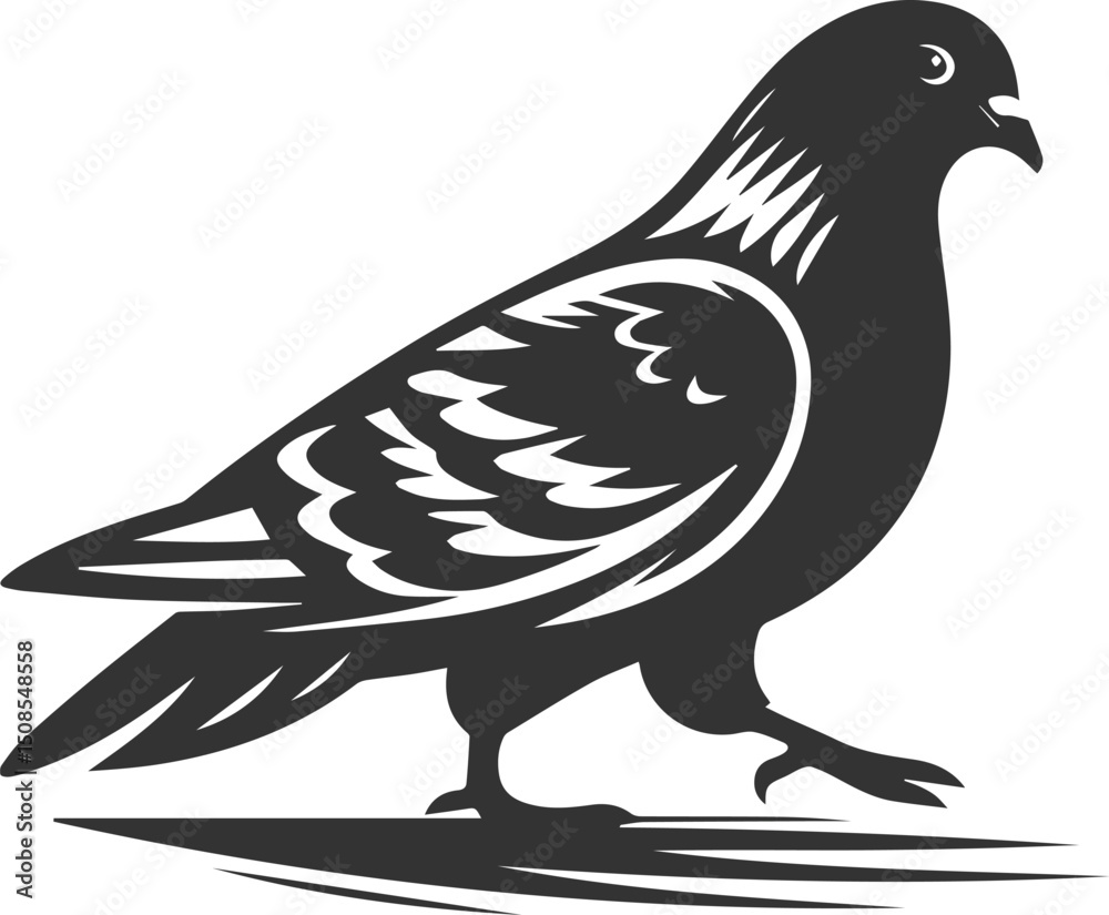 Obraz premium Cute bird pigeon vector animal silhouette drawing
