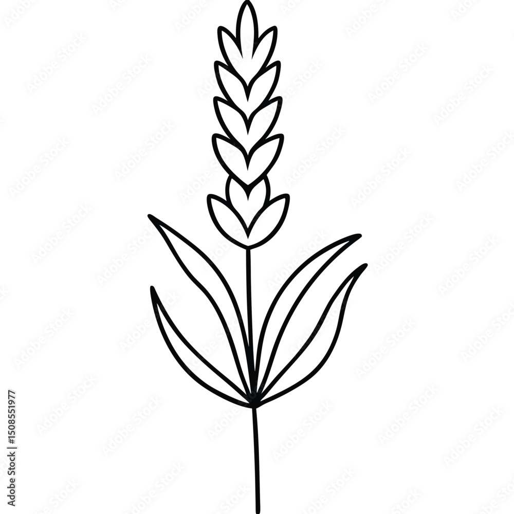 Fototapeta premium Wheat Stalk Line Art, Agriculture Harvest Graphic