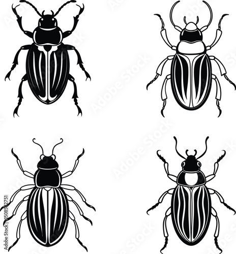 set of beetles silhouette