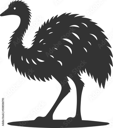 Wild bird silhouette of a emu vector drawing