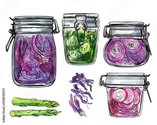 Jars with fermented vegetables. Tomatoes and cucumbers in a glass jar. Watercolor illustration of food on a white background. Color and ink