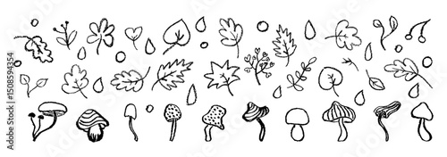 Black crayon autumn vector set with leaves, mushrooms, forest berry and raindrops on white bg for children, kindergarten crafts, back to school seasonal designs and educational materials.