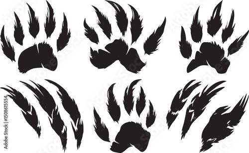 Bear Paw Print Vector Set, Isolated on White Background