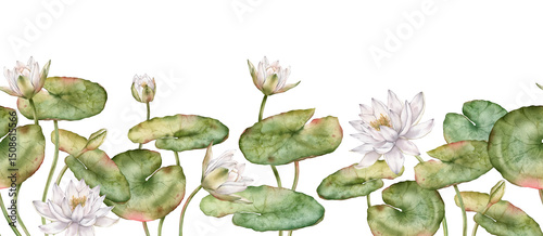 Tableau sur toile Seamless horizontal border or banner with watercolor white water lilies and green leaves