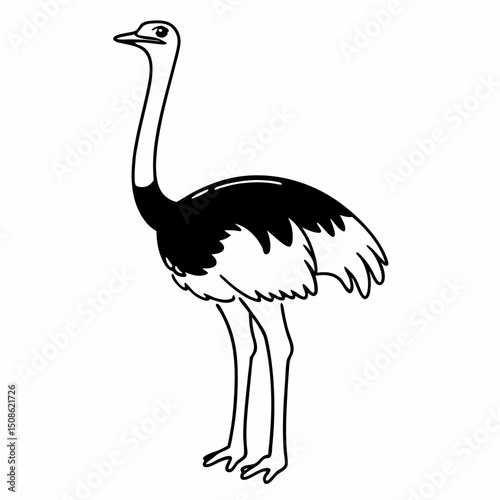 Here's an ostrich cartoon illustration isolated on white, depicting a large, long-necked flightless bird with feathers, perfect for nature and wildlife themes