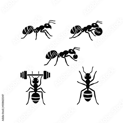 set of ants vector illustration