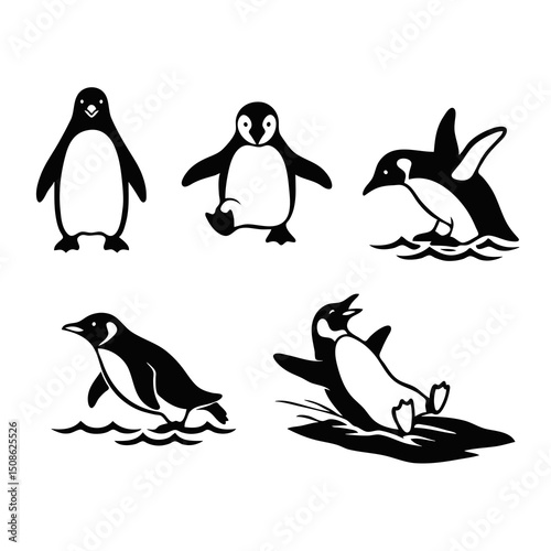 penguins on the beach