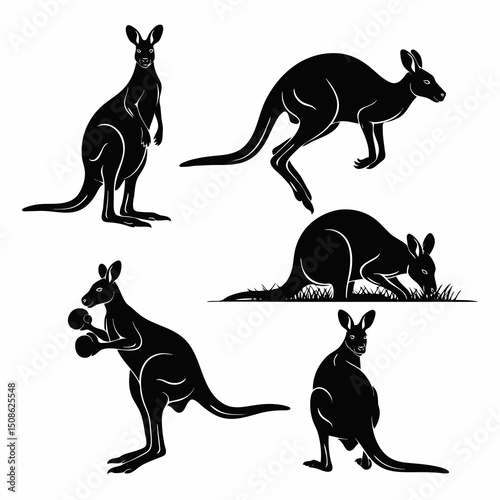 kangaroo vector silhouette