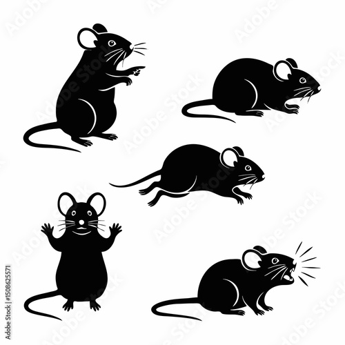 black and white mouse