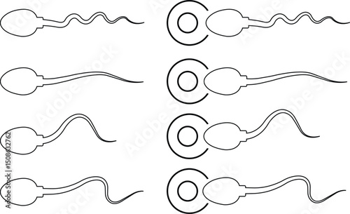 Spermatozoon icon set. Sperm with egg icons collection. fertilization symbol in line