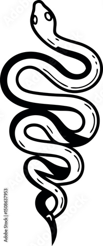 Coiled Snake Minimal Line Art