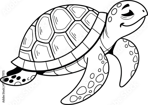 Cute Turtle Line Art Design vector and illustration