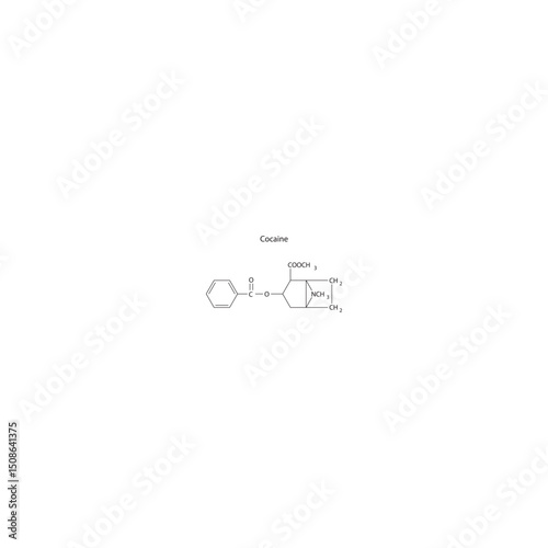 Cocaine skeletal formula. Simple schematic illustration of local anesthetic drug molecule.