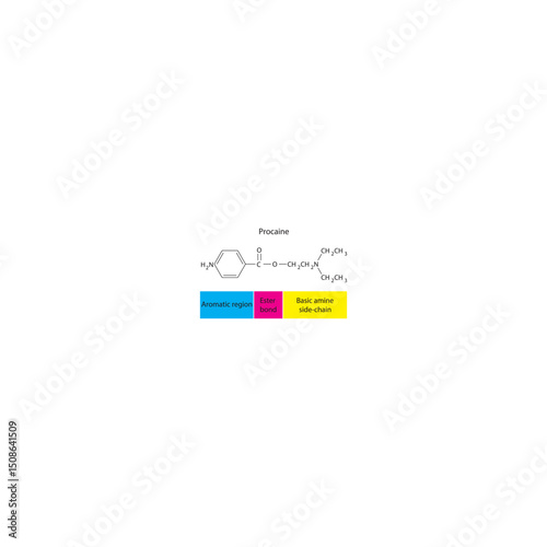 Procaine skeletal formula. Simple schematic illustration of local anesthetic molecule structure - basic amine side chain, aromatic region and Ester bond.