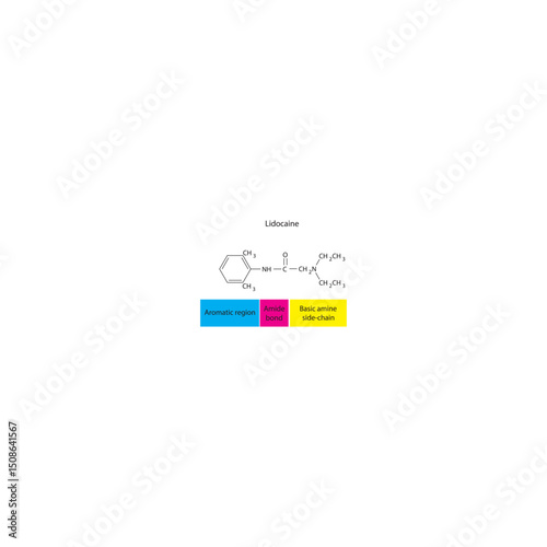 Lidocaine skeletal formula. Simple schematic illustration of local anesthetic molecule structure - basic amine side chain, aromatic region and Amide bond.