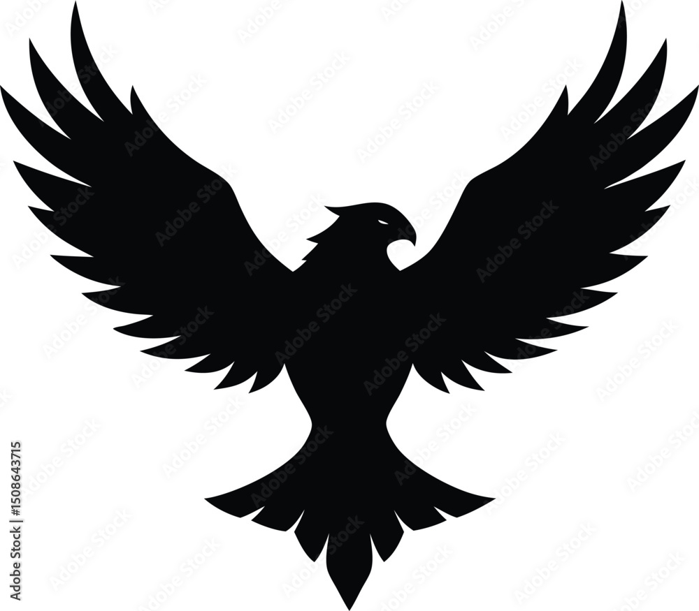 Obraz premium Silhouette of an Eagle Spreading Its Wings 