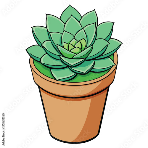 Potted succulent with rosette formation in terracotta pot