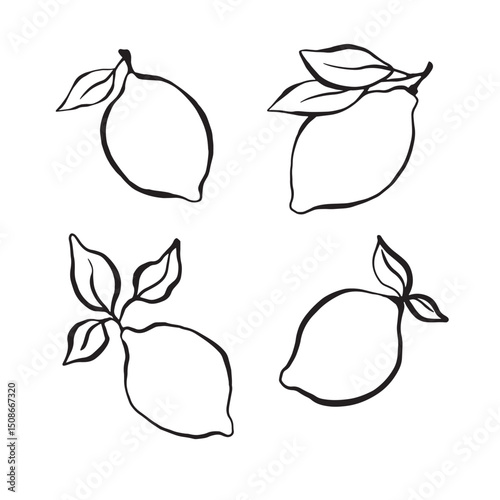 Vetor illustration. Set with lemon and leaves