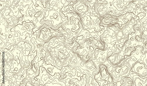 seamless pattern with floral elements
