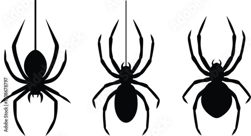 Spider Silhouette isolated on white background, spider SVG, Vector, Clipart, Tattoo, Icon, Logo & Creepy Art Design, eps10.