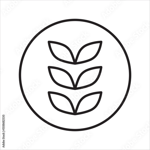 Farm wheat ears icon vector template. color editable on white background. eps 10