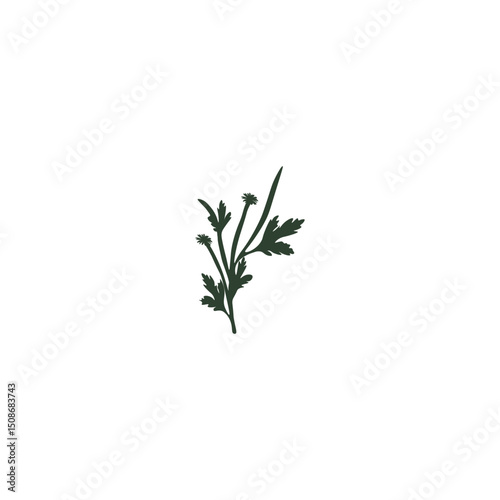 Nice flower 