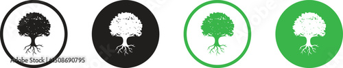  tree silhouettes. Evergreen forest firs and spruces black shapes, wild nature trees templates. Vector illustration woodland trees set on white background