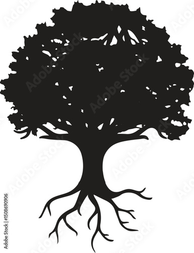  tree silhouettes. Evergreen forest firs and spruces black shapes, wild nature trees templates. Vector illustration woodland trees set on white background