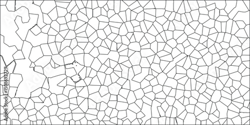 Abstract geometric pattern of cells in a monochrome design featuring a randomly organized structure suitable for diverse applications