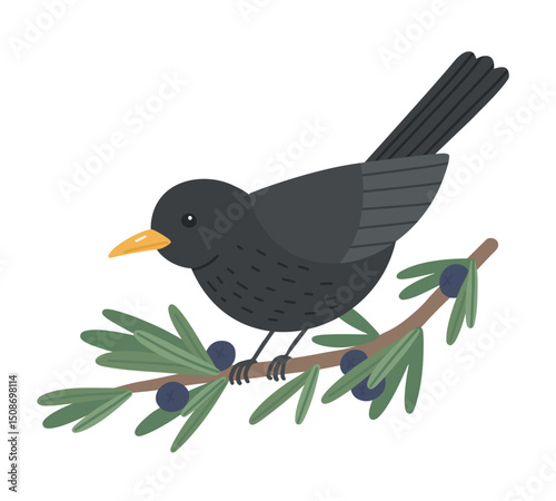 Cute blackbird sitting on juniper tree branch. Vector cartoon illustration of bird on branch with blue berries on white background.