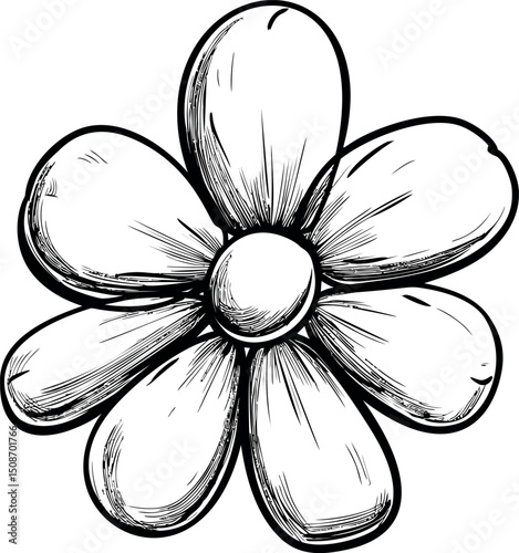 Hand-drawn black and white daisy sketch with detailed petals illustration. Vector illustration