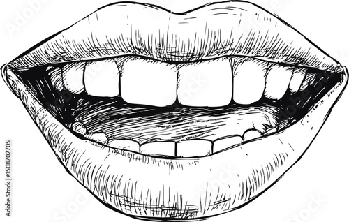 Detailed black and white illustration of smiling lips and teeth, hand-drawn art. Vector illustration