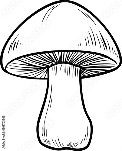 Black and white illustration of a detailed mushroom sketch, nature drawing. Vector illustration