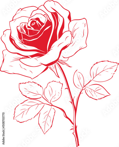Illustration of a red rose with detailed petals and leaves in. Vector illustration