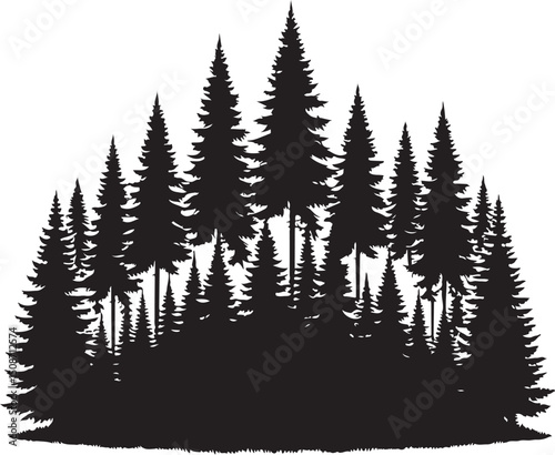 Evergreen trees forest vector, pine tree forest silhouette