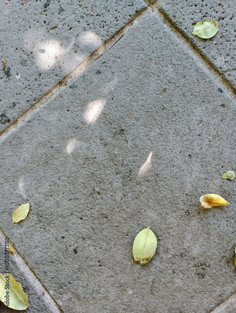 Fototapeta premium yellow leaves on the pavement