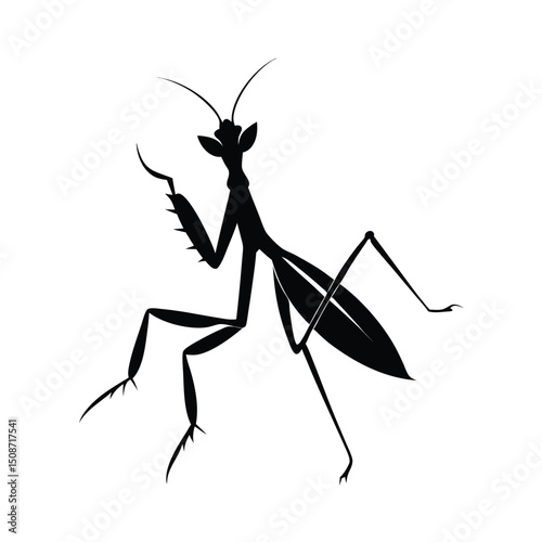 Silhouette illustration of a praying mantis posing against a clean white background