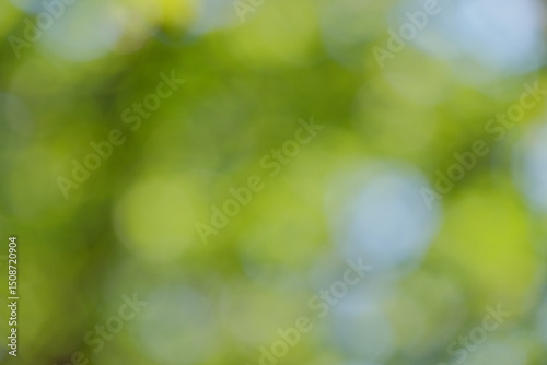 Soft bokeh background featuring vibrant green and blue hues, creating a dreamy atmosphere ideal for design projects or artistic presentations with copy space