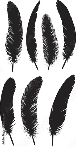 Create a kinds of Set of Bird Feather set in a flat style. Pen icon. Black quill feather silhouette. Plumule collection isolated vector art silhouette with white background.