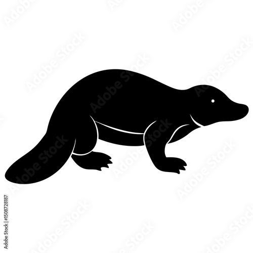 sea lion vector