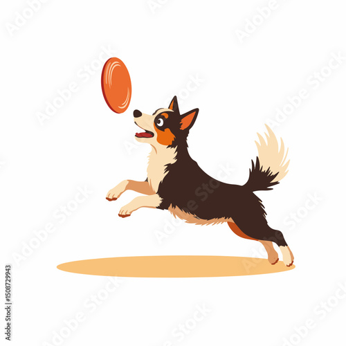 Adorable Australian Shepherd dog catching flying disc. Playful Australian Shepherd, Canis familiaris, jumps high to catch orange frisbee. This energetic dog image is perfect for pet websites,