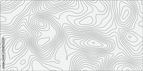 Generate a seamless white topographic contour map pattern with smooth, organic line work. The design should appear abstract, with evenly spaced gray contour lines on a light background, 