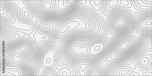Generate a seamless white topographic contour map pattern with smooth, organic line work. The design should appear abstract, with evenly spaced gray contour lines on a light background, 