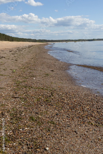 Pebbled Shoreline and Calm Sea in Estonia photo