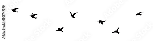Simple bird_2