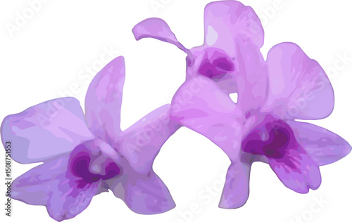 vector image of a purple violet orchid flower on a white background